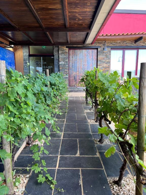 Quinta De Sao Tiago Img 15...